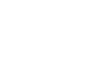 Flying Tiger